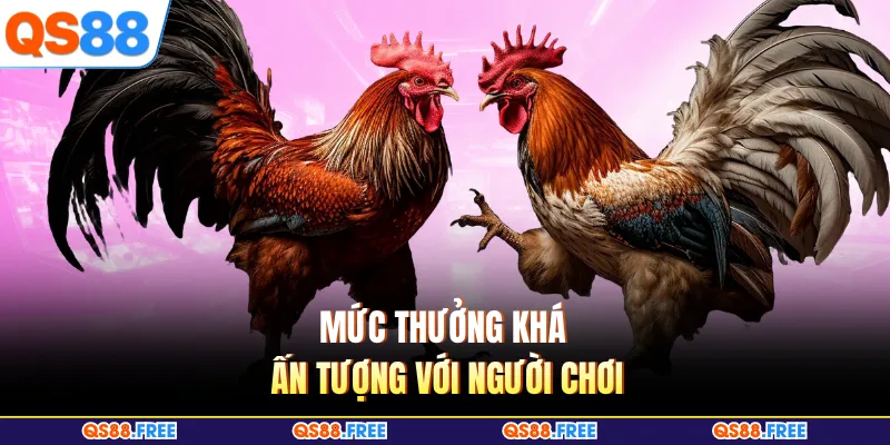 Đá Gà QS88 3 Mức thưởng khá ấn tượng với người chơi